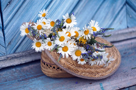 Daisies in a straw hat