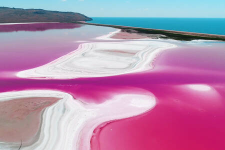 Lacul Roz din Bolivia