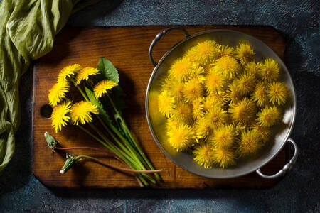 Dandelions