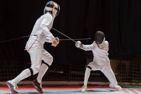 Fencers