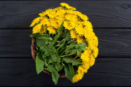 Basket with yellow dandelions
