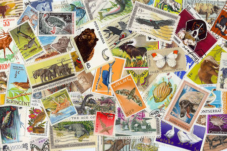 Sammlung von Briefmarken mit Tieren