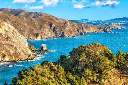 Калифорнийски крайбрежни скали