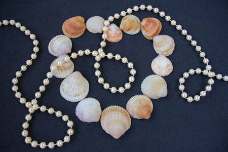 Collier de perles et coquillages