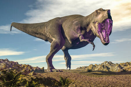 Tirannosauro nel deserto