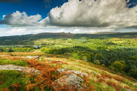 Parc national de Dartmoor
