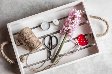 Hyacinth in a wooden tray