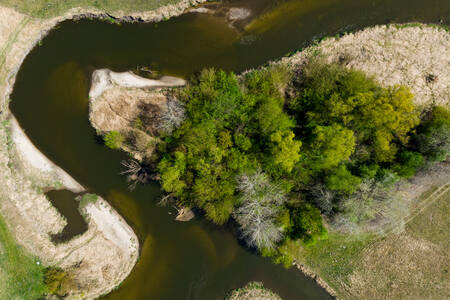 Il fiume Nida in Polonia