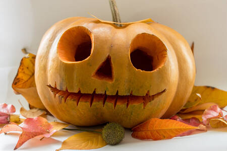 Halloween pumpkin