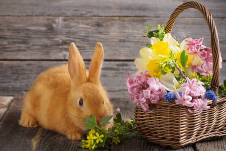 Кролик и корзина с цветами