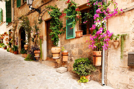 Strada con fiori