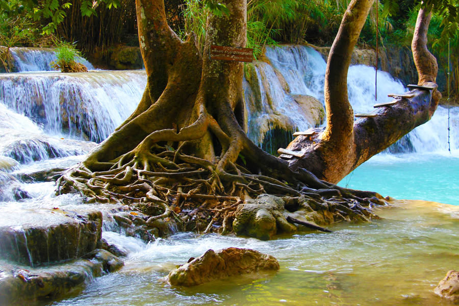 Radio Universal online Señal en vivo 102.3 MHz FM, Los Ángeles