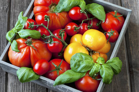 Tomates y albahaca en una caja de madera