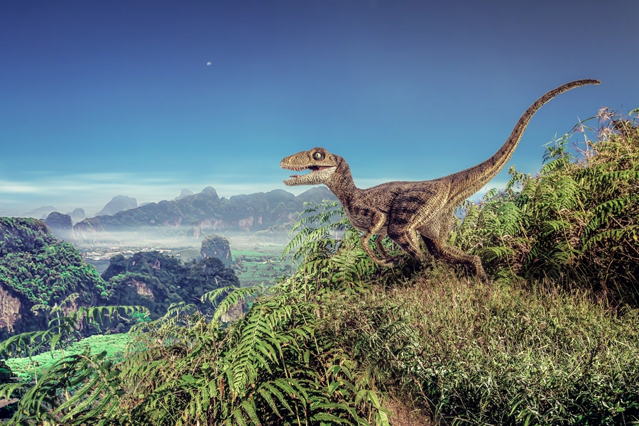 Vélociraptor