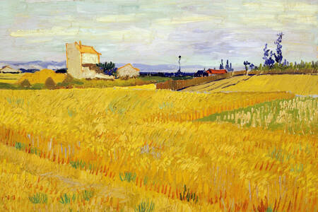 Vincent van Gogh: "Pšeničné pole"