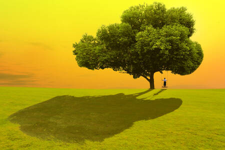 Big tree in the meadow