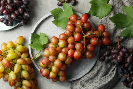 Különböző fajtájú szőlőfürtök