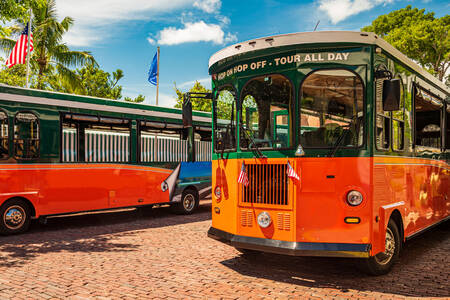 Trolebuses naranjas históricos