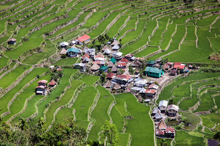 Village on the rice terraces