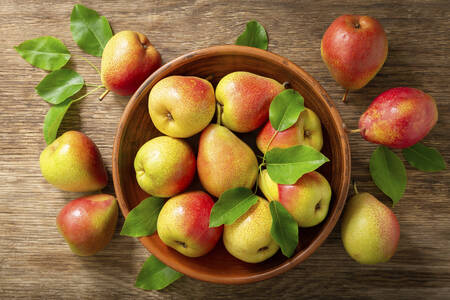 Päron med blad i en skål