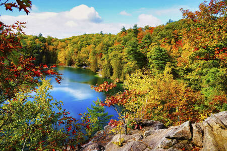 Utsikt over den rosa innsjøen