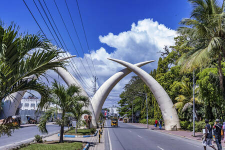 Enorme slagtanden in de Moi-straat