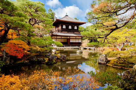 Kinkaku-Ji Tapınağı