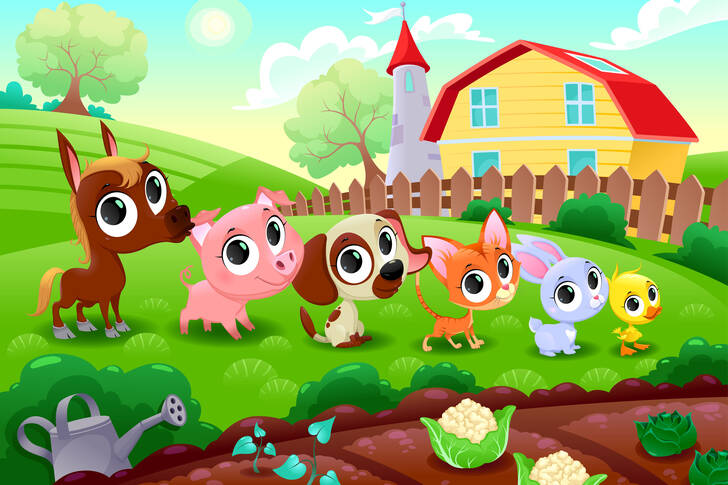 Farm Animals