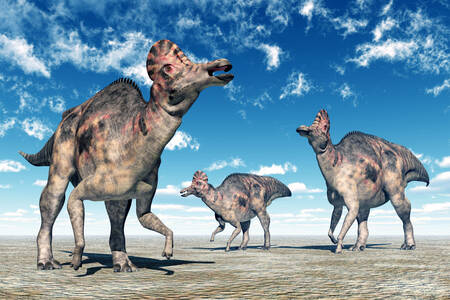 Corythosaurus no deserto