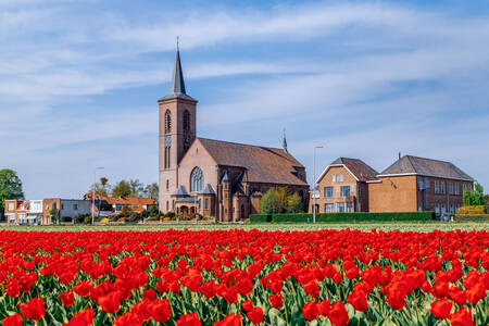 Holland falu