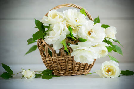 Roses blanches sur la table