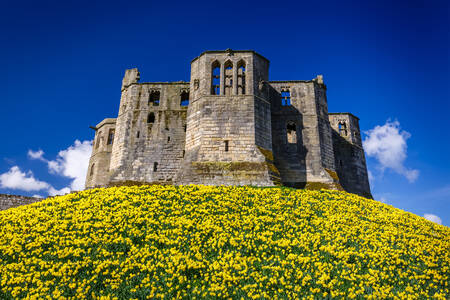Château de Warkworth, Royaume-Uni