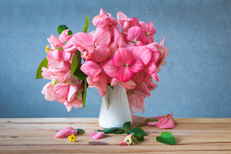 Hortensia rose dans un vase