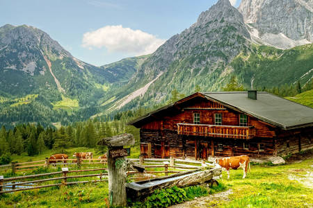 Алпийска ферма