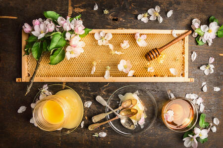 Honeycombs and honey on the table