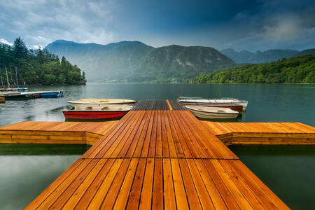 Mist boven het Bohinj-meer