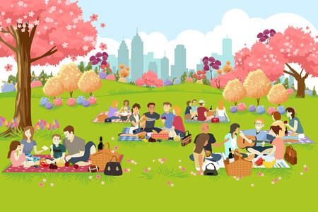 Piknik a parkban