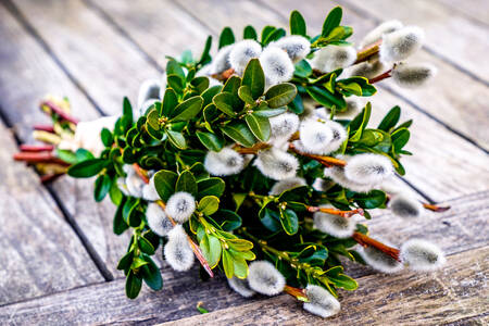 A bouquet of willow branches