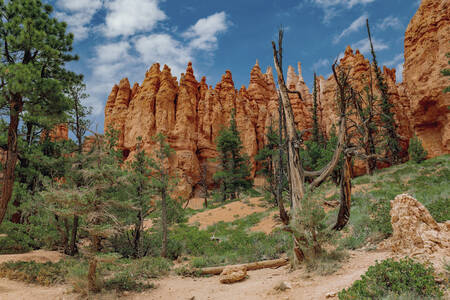 Bryce Canyon Nemzeti Park
