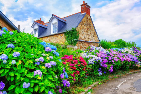 Vesnický dům v květinách