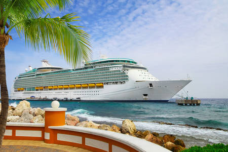 Cruise ship by the sea