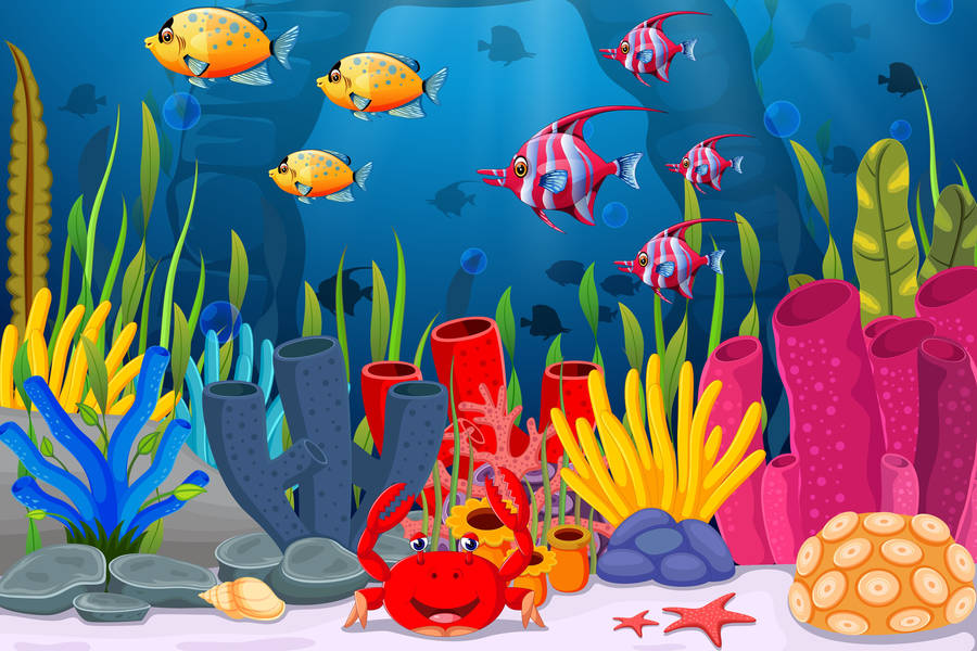 XEVT en Vivo Telereportaje, 104.1 MHz FM, Villahermosa, México