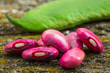 Pink beans close up