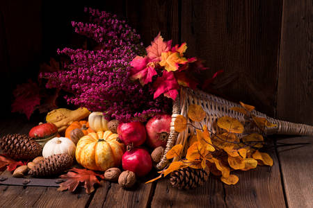 Composición de otoño con calabazas