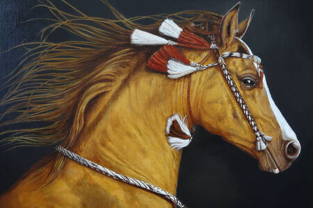 Koňský portrét