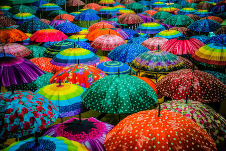 Цветни чадъри