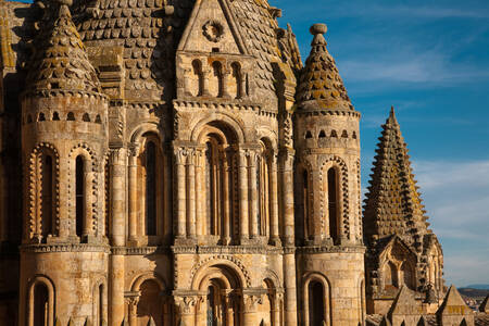 Facciata della vecchia cattedrale di Salamanca