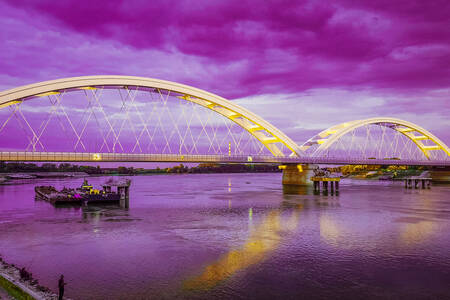 Žeželj Bridge, Novi Sad