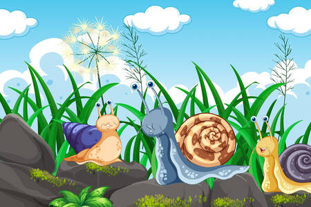 Snails in the meadow