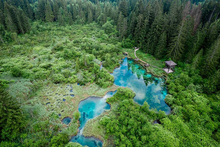 Rezerwat przyrody Zelentsy w Słowenii